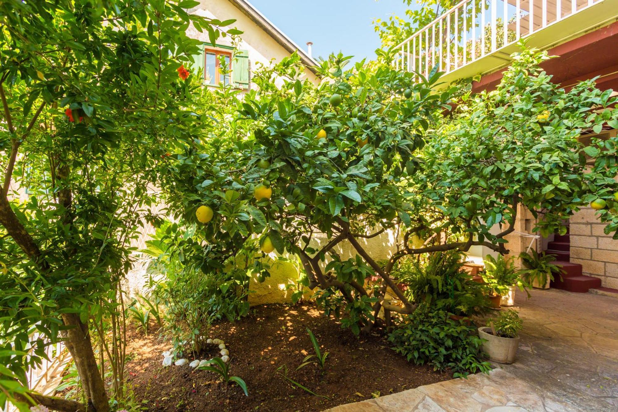 דוברובניק Apartments Afrodita מראה חיצוני תמונה